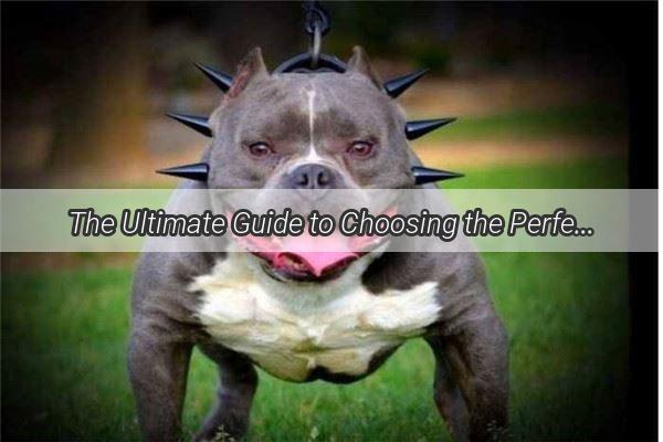 The Ultimate Guide to Choosing the Perfect Tool for Taming Cherry the Puppy A MustRead for Dog Lovers